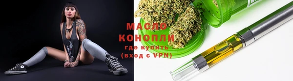 мдпв Инта