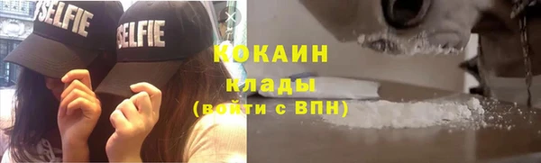 спиды Каменногорск