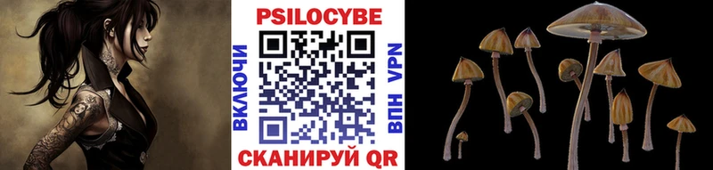 Купить закладки  Донецк  Псилоцибиновые грибы Psilocybine cubensis 